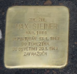 Steiner MAX