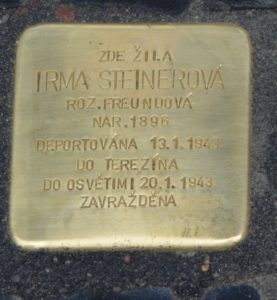 Steinerova Irma